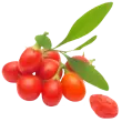 Goji Berry